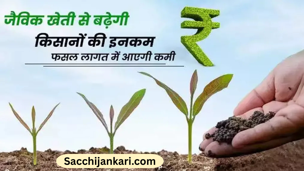 भारत में जैविक खेती का विस्तार धीरे-धीरे बढ़ता जा रहा है। भारत में जैविक खेती एक प्राचीन परंपरा रही है। पहले किसान प्राकृतिक तरीकों से ही खेती करते थे। हरित क्रांति के बाद रसायनों का प्रयोग बढ़ा, लेकिन अब स्वास्थ्य और पर्यावरण चिंताओं के कारण जैविक खेती फिर से तेजी से बढ़ रही है। जैविक खेती करने का मुख्य उद्देश्य मिट्टी की उर्वरता को बनाए रखना और स्वस्थ, रसायन-मुक्त फसलो/ खाद्य का उत्पादन करना है।